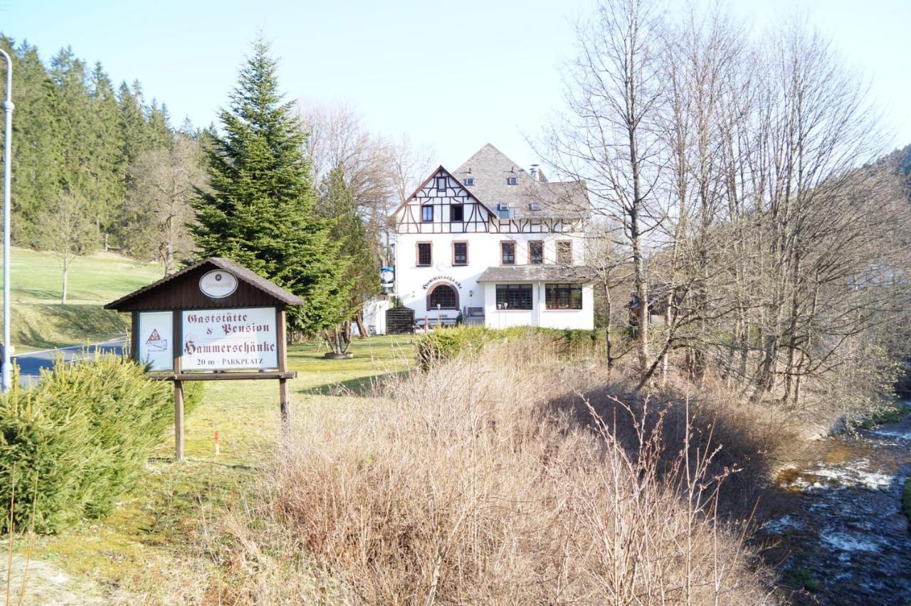 Wildenthal Gasthof Und Pension Hammerschaenke מראה חיצוני תמונה