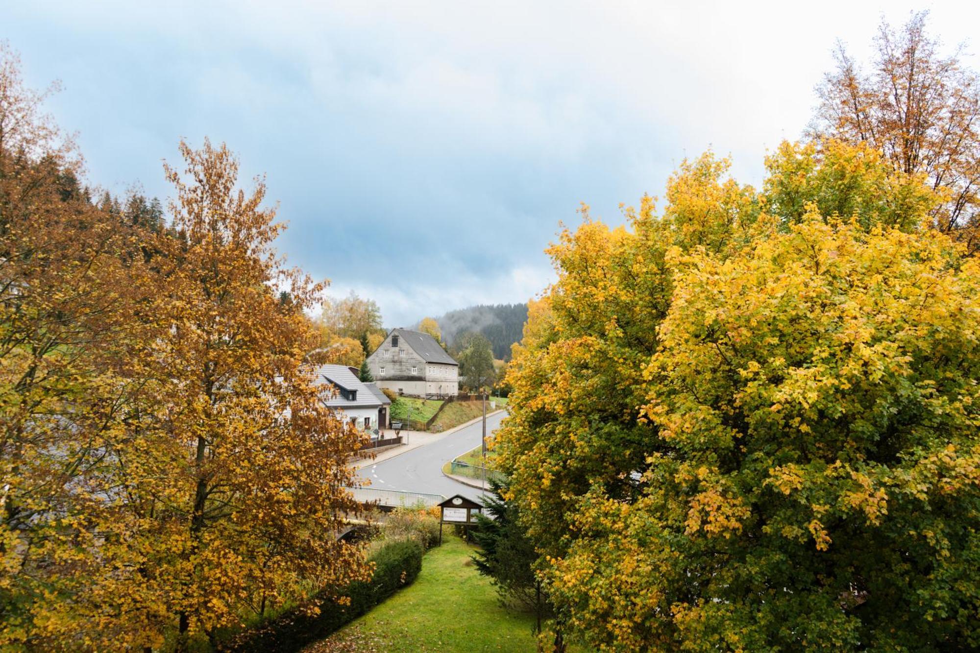 Wildenthal Gasthof Und Pension Hammerschaenke מראה חיצוני תמונה